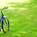 Otel Arte Luise - Self-check In 3*