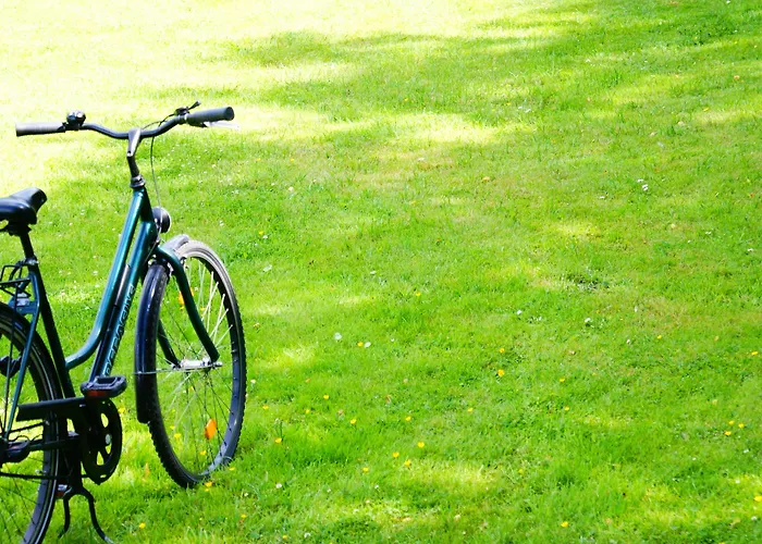 Otel Arte Luise - Self-check In 3*